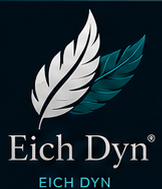 Eich Dyn Career Services logo